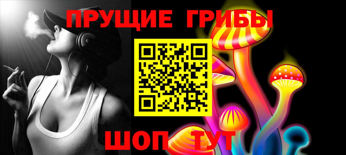 Галлюциногенные грибы мицелий  где продают наркотики  Вход с VPN  Сызрань  Псилоцибиновые грибы ЛСД 