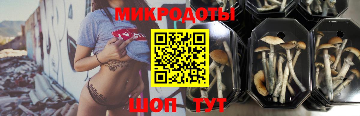Галлюциногенные грибы GOLDEN TEACHER Сызрань
